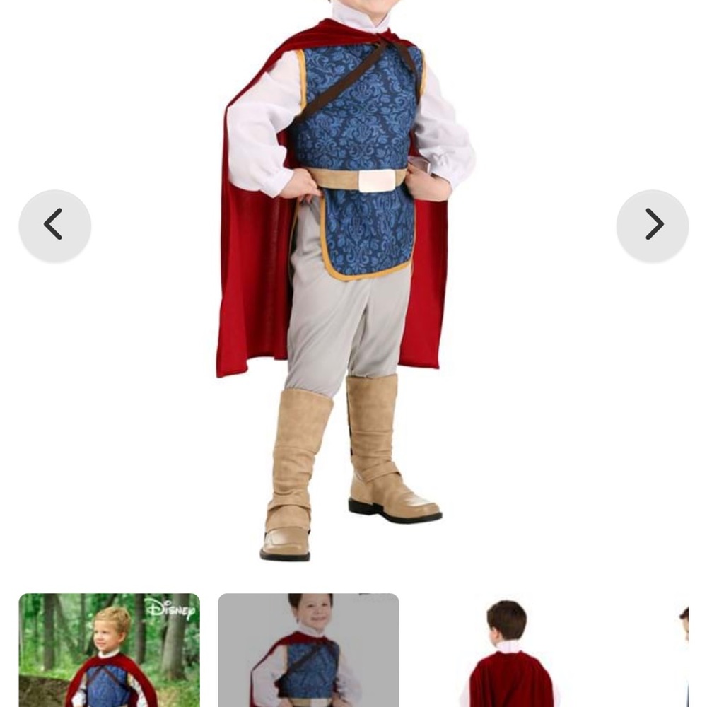 Prince Charming Snow White
